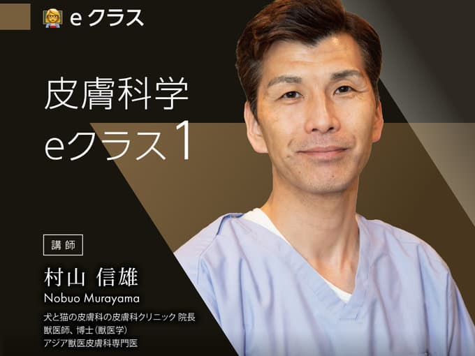 皮膚科学 / 村山Dr.