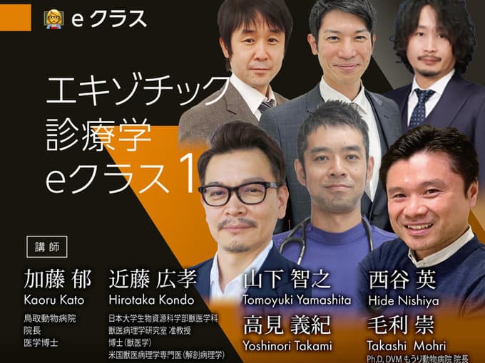 エキゾチック診療学
