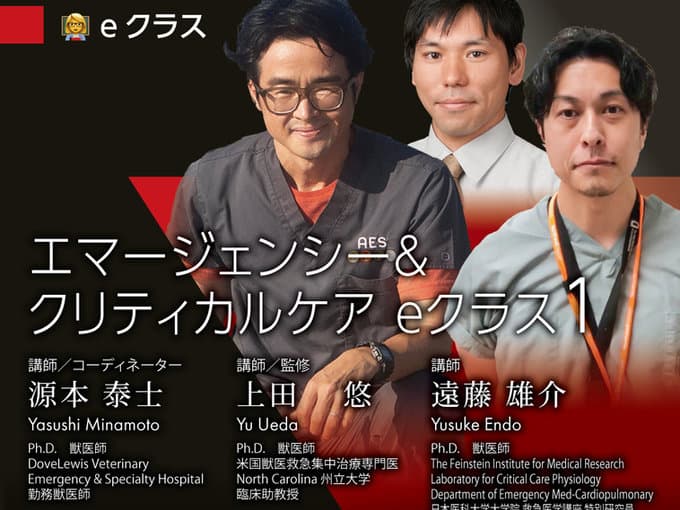 エマージェンシー&クリティカルケア