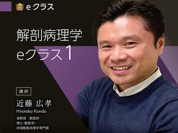解剖病理学 / 近藤Dr.