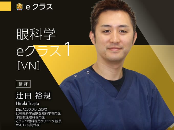 眼科学 eクラス1〈VN〉/ 辻田Dr.