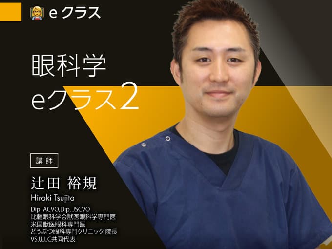 眼科学 eクラス2 / 辻田Dr.