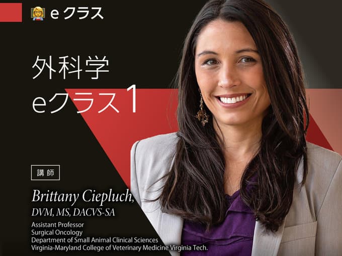 外科学 eクラスⅠ / Dr. Brittany Ciepluch