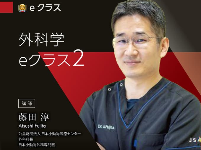 外科学 eクラス2 / 藤田Dr.
