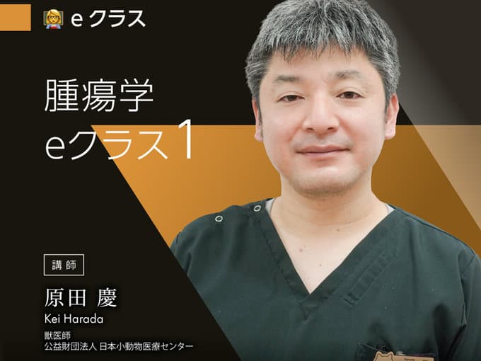 腫瘍学 eクラス1 / 原田Dr.