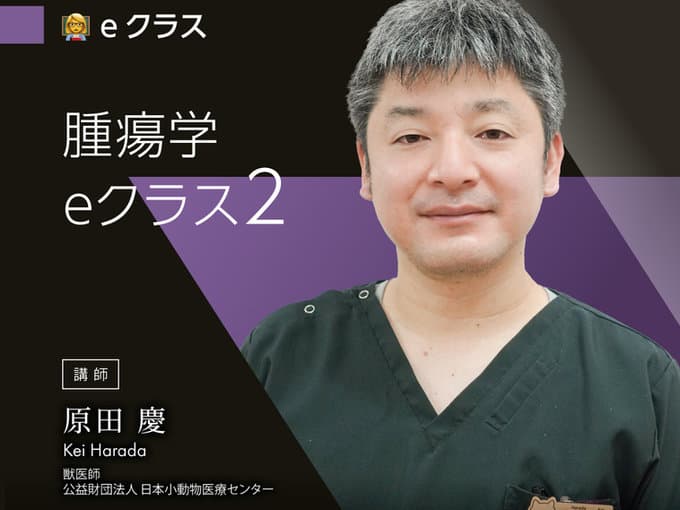 腫瘍学 eクラス2 / 原田Dr.