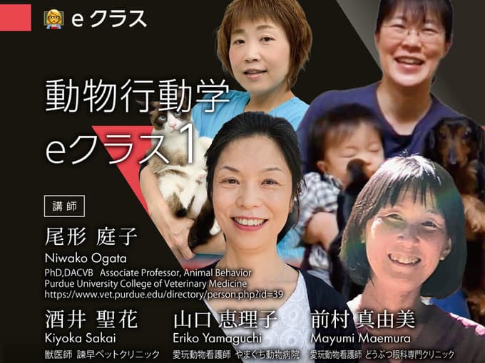 動物行動学