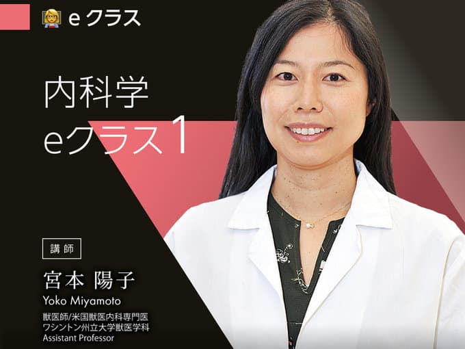 内科学 / 宮本Dr.