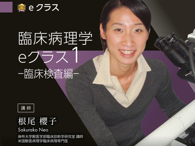 臨床病理学 eクラス1〈臨床検査篇〉/ 根尾Dr.