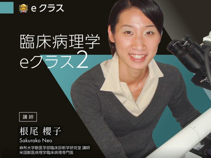 臨床病理学 eクラス2 / 根尾Dr.