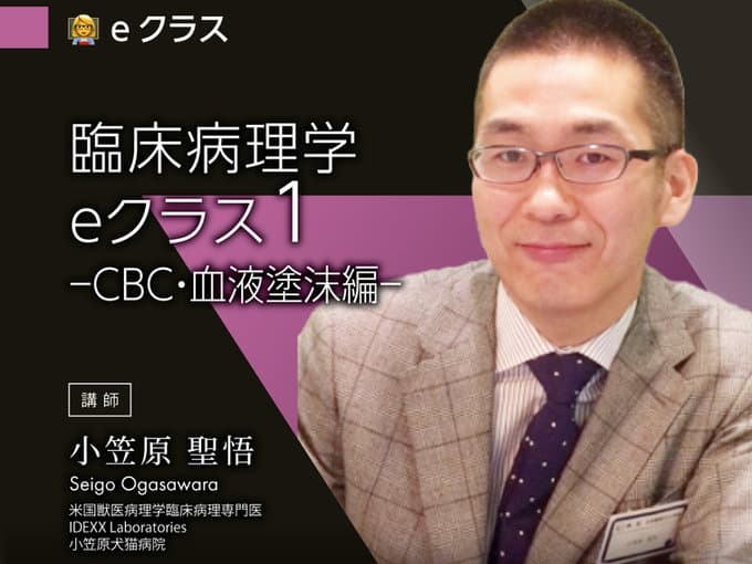 臨床病理学〈CBC・血液塗抹篇〉/ 小笠原Dr.